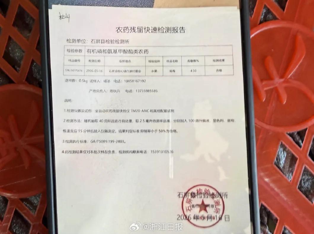 土壤重金属污染治理有新招——植物可参与土壤修复 土壤污染治理与修复服务